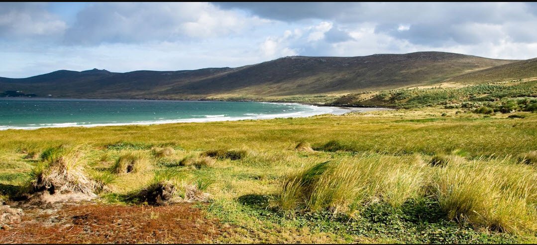 Carcass Island, United Kingdom